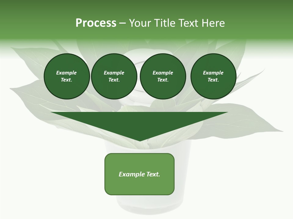 Nature Concept Efficient PowerPoint Template