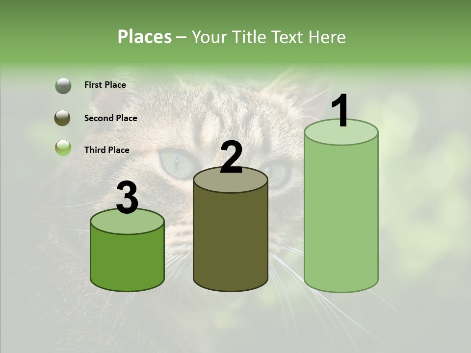 Predator Grass Mammal PowerPoint Template