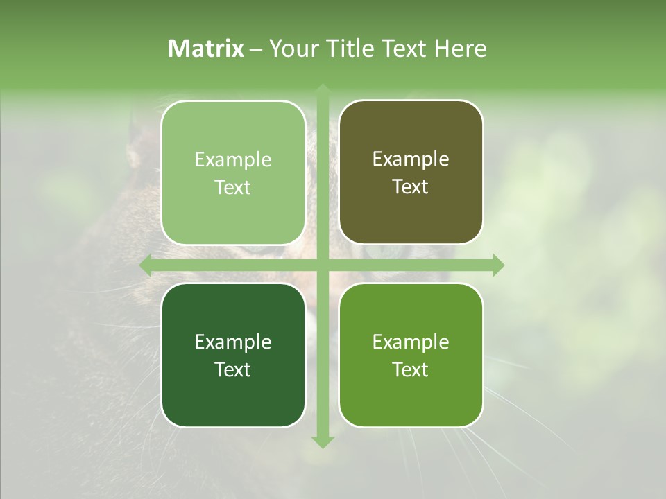 Predator Grass Mammal PowerPoint Template