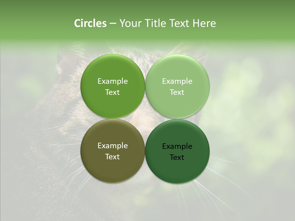 Predator Grass Mammal PowerPoint Template