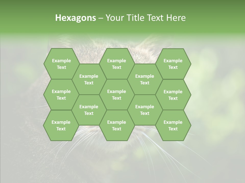 Predator Grass Mammal PowerPoint Template