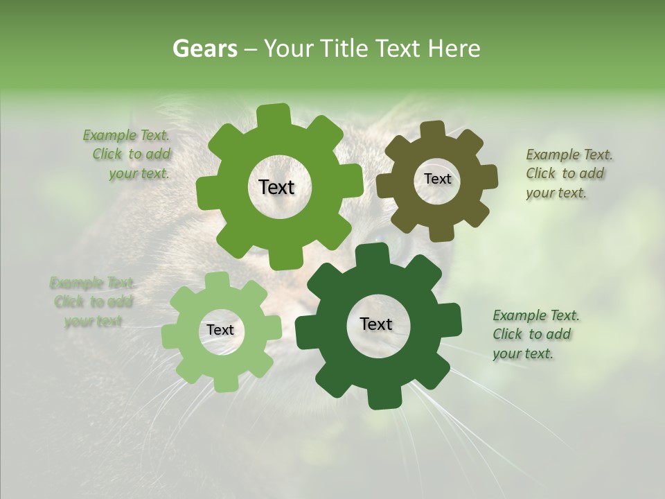 Predator Grass Mammal PowerPoint Template