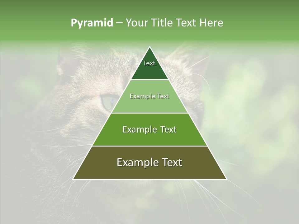 Predator Grass Mammal PowerPoint Template