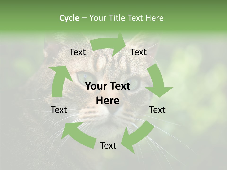 Predator Grass Mammal PowerPoint Template