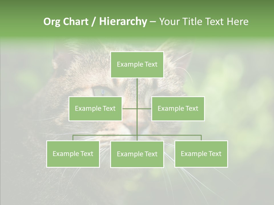 Predator Grass Mammal PowerPoint Template