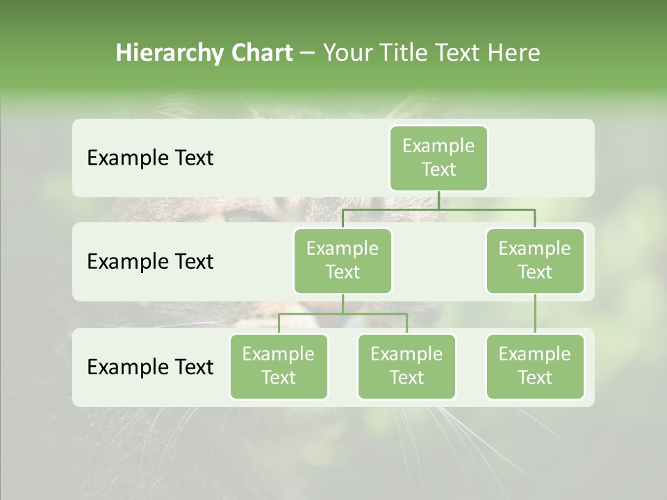 Predator Grass Mammal PowerPoint Template
