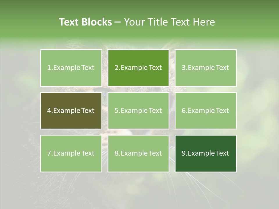 Predator Grass Mammal PowerPoint Template