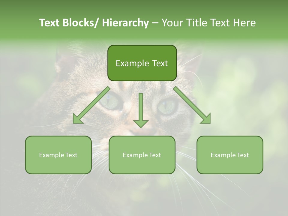 Predator Grass Mammal PowerPoint Template