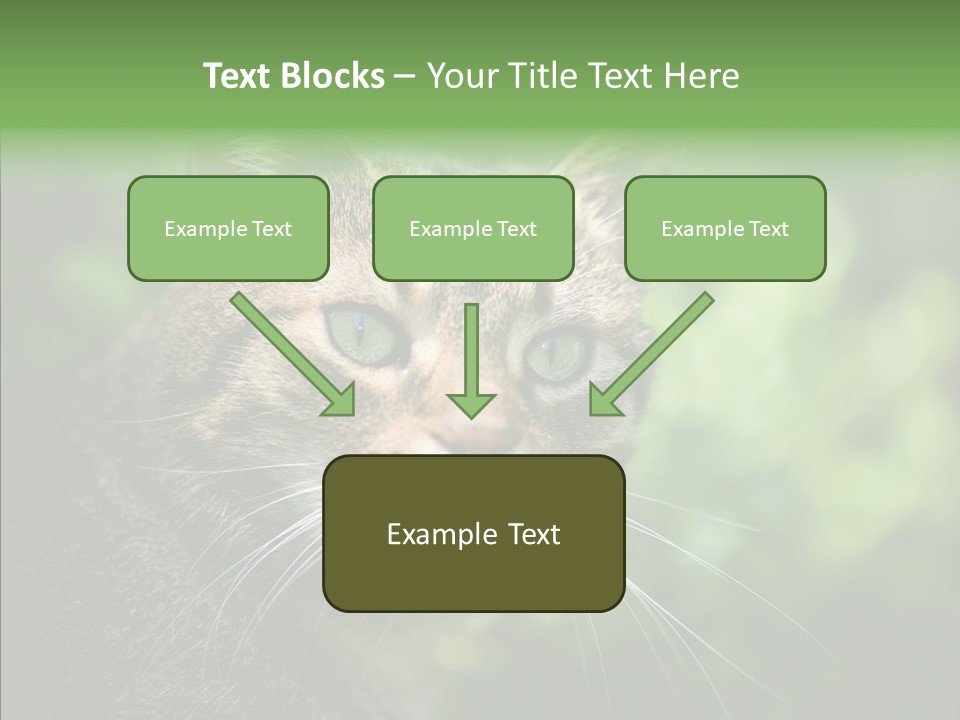 Predator Grass Mammal PowerPoint Template