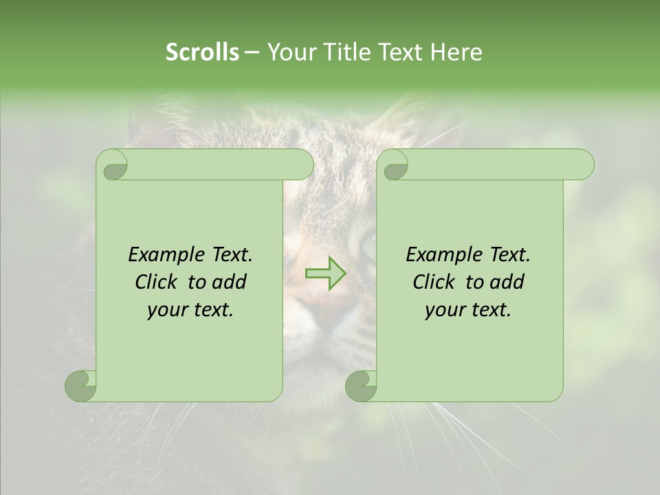 Predator Grass Mammal PowerPoint Template