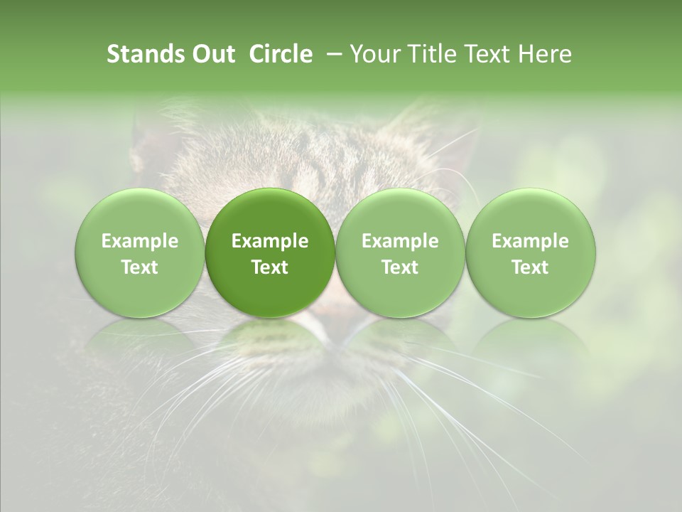 Predator Grass Mammal PowerPoint Template
