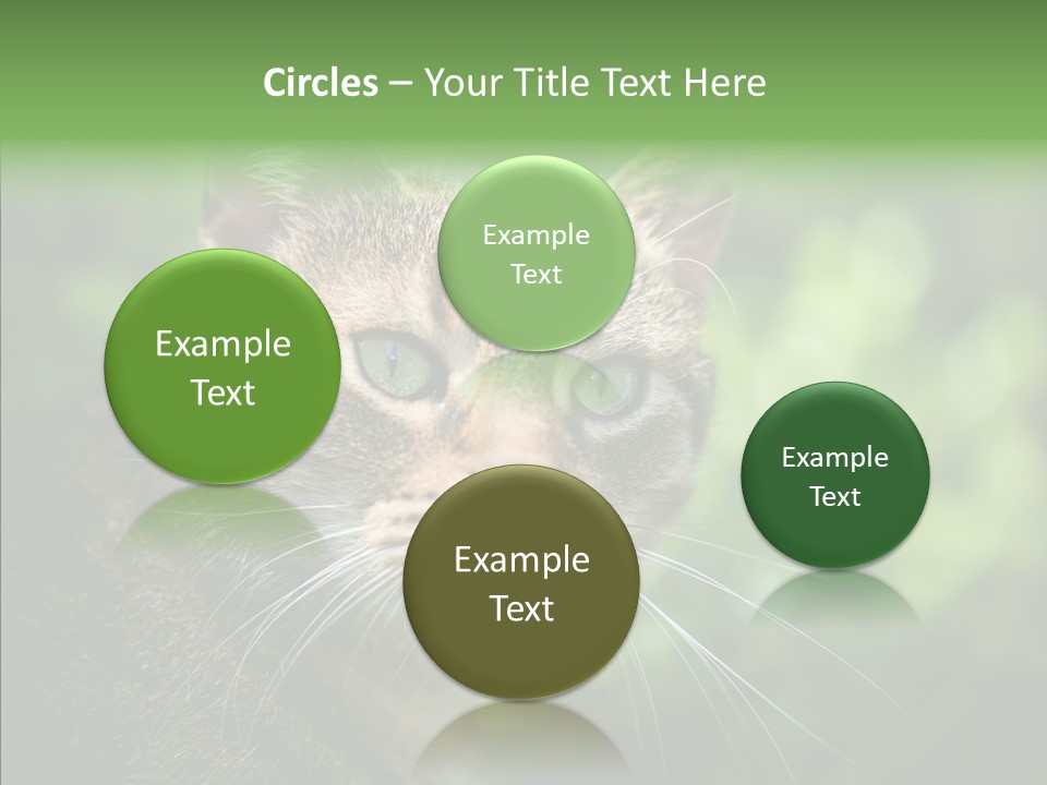 Predator Grass Mammal PowerPoint Template