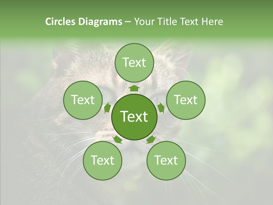 Predator Grass Mammal PowerPoint Template