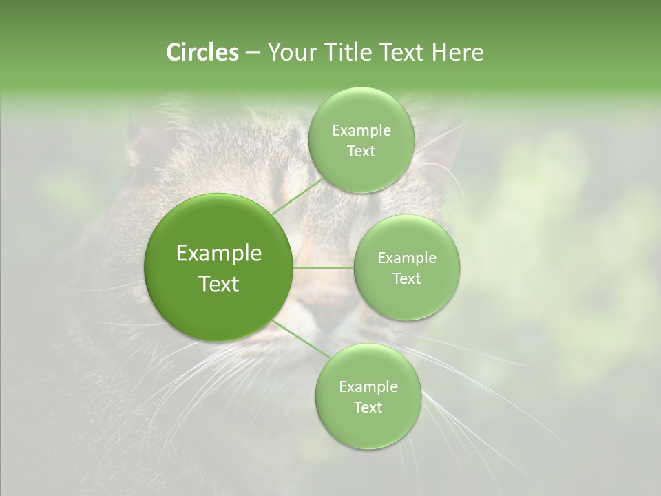 Predator Grass Mammal PowerPoint Template