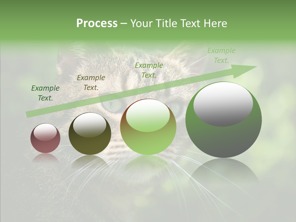 Predator Grass Mammal PowerPoint Template