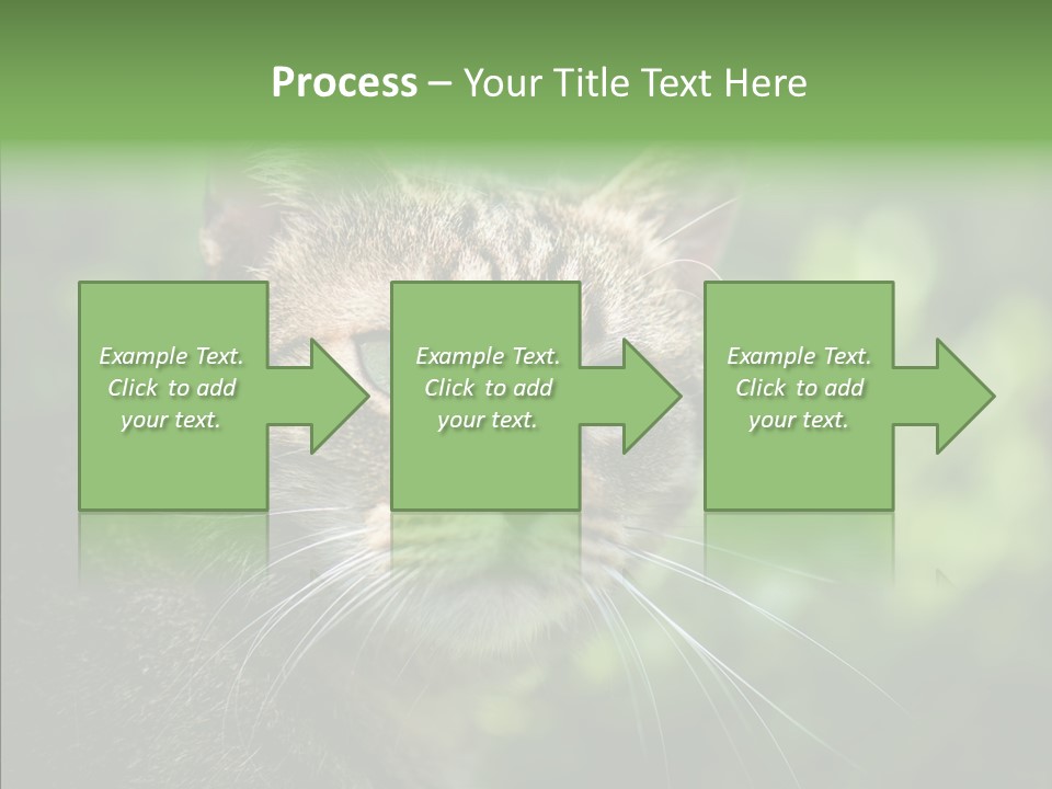 Predator Grass Mammal PowerPoint Template