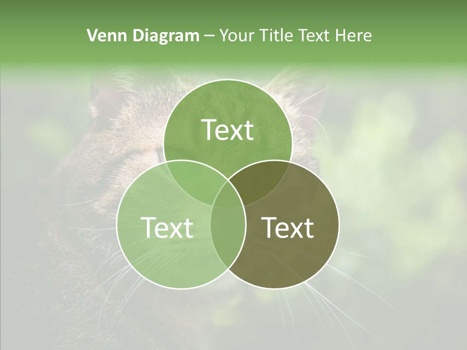 Predator Grass Mammal PowerPoint Template