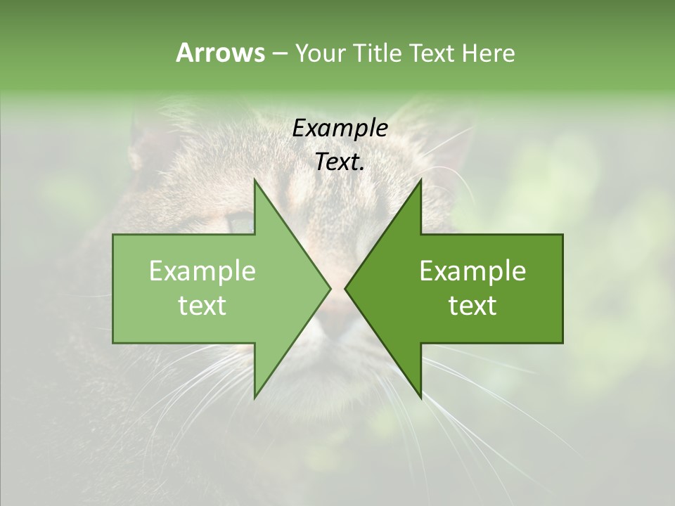 Predator Grass Mammal PowerPoint Template