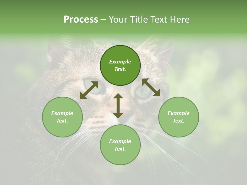 Predator Grass Mammal PowerPoint Template