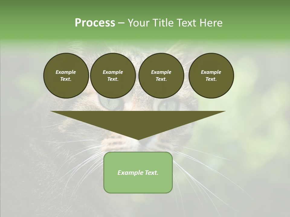 Predator Grass Mammal PowerPoint Template
