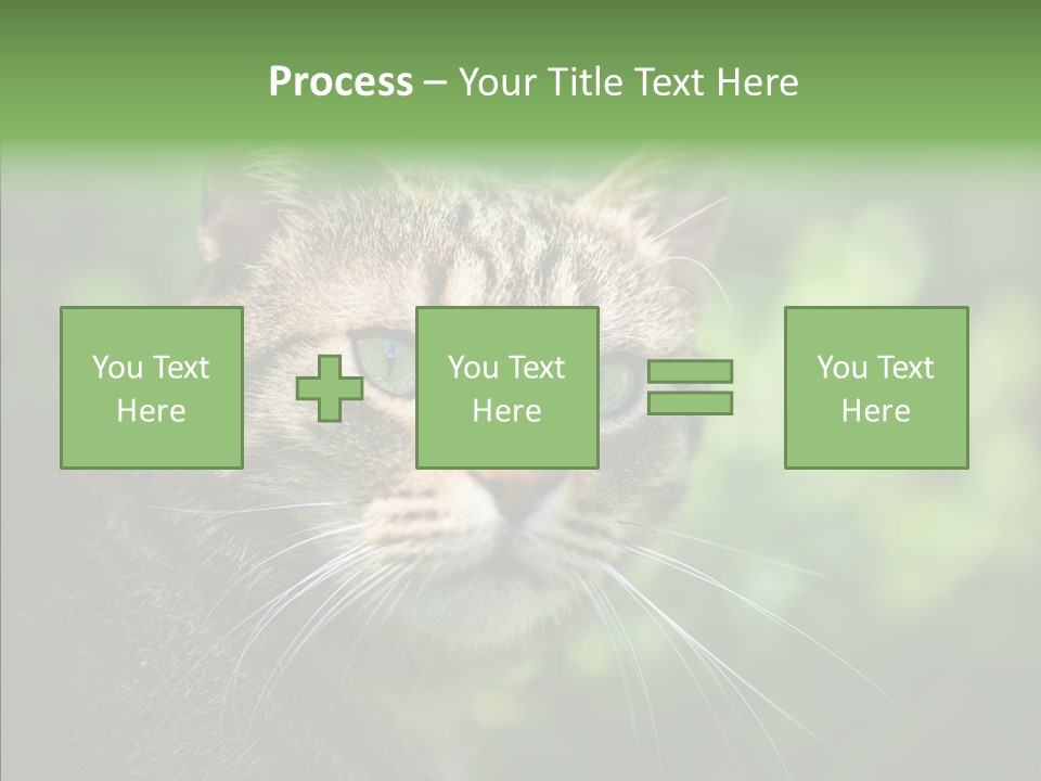 Predator Grass Mammal PowerPoint Template