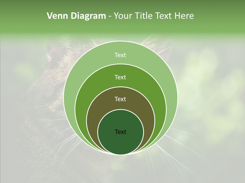 Predator Grass Mammal PowerPoint Template
