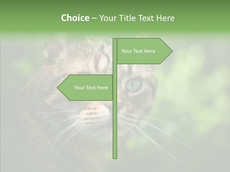 Predator Grass Mammal PowerPoint Template