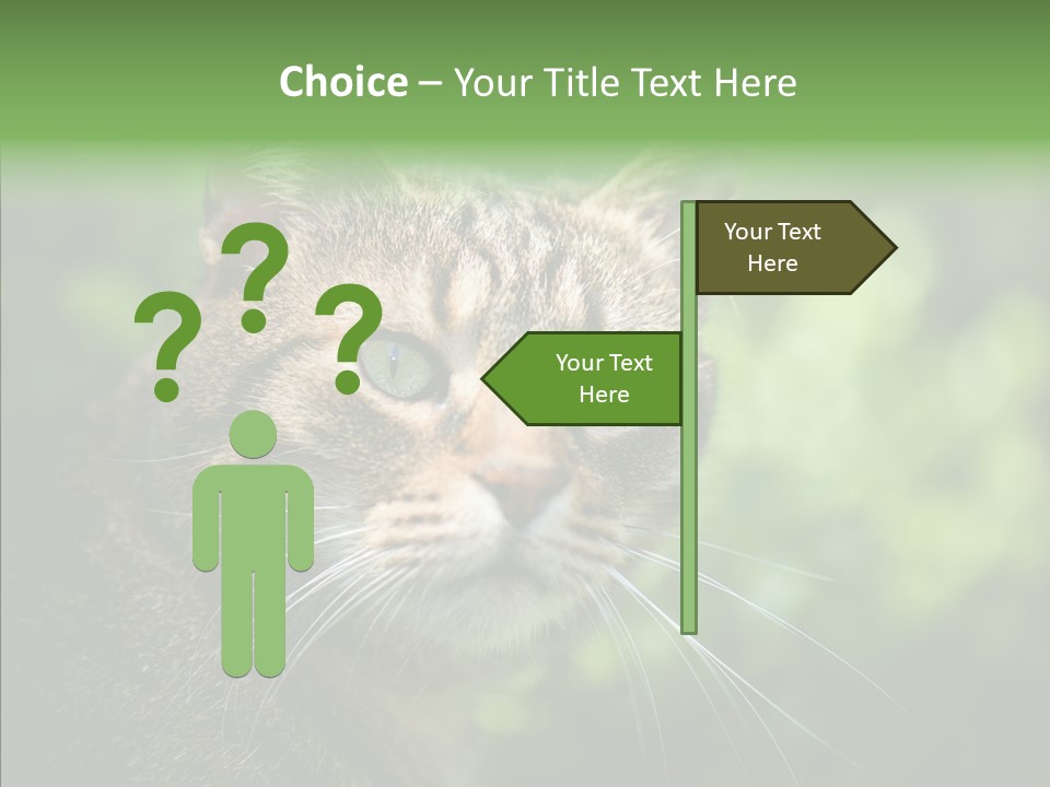 Predator Grass Mammal PowerPoint Template