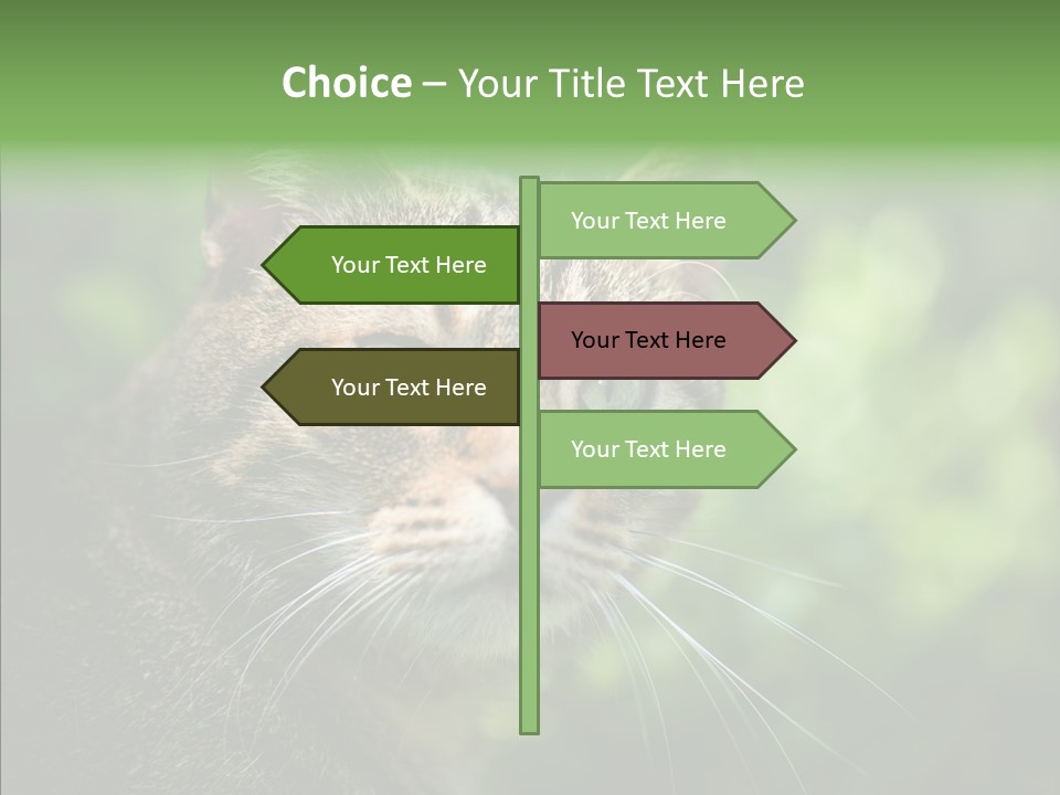 Predator Grass Mammal PowerPoint Template