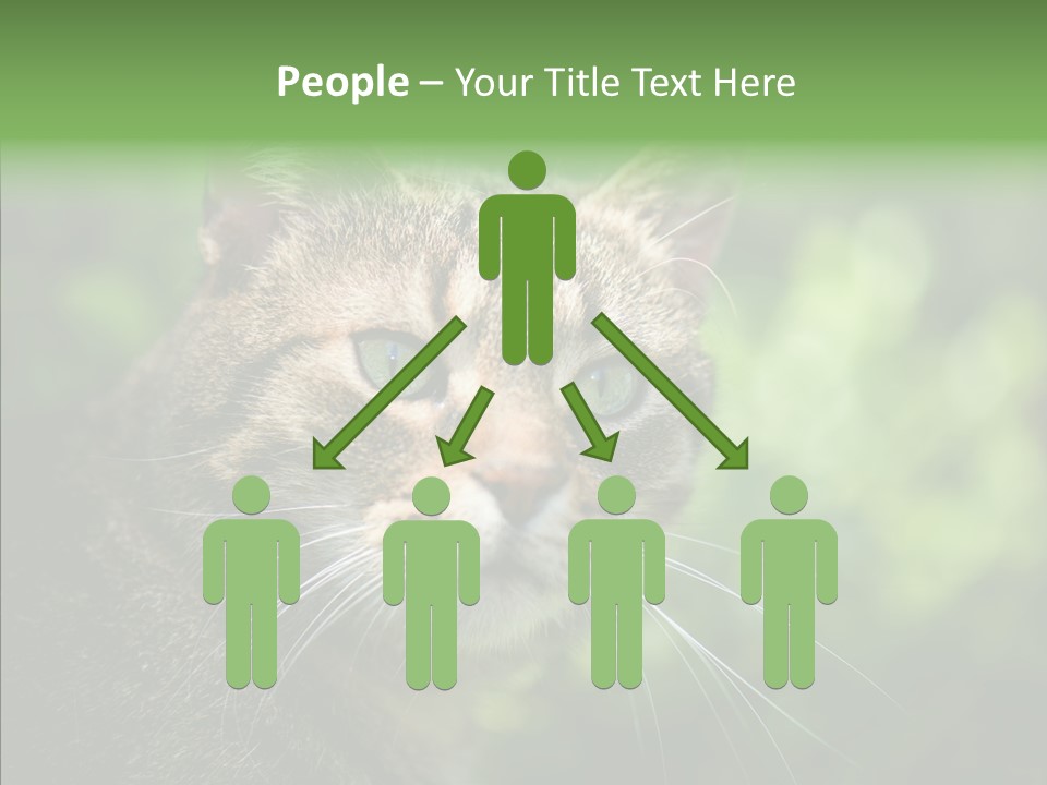 Predator Grass Mammal PowerPoint Template