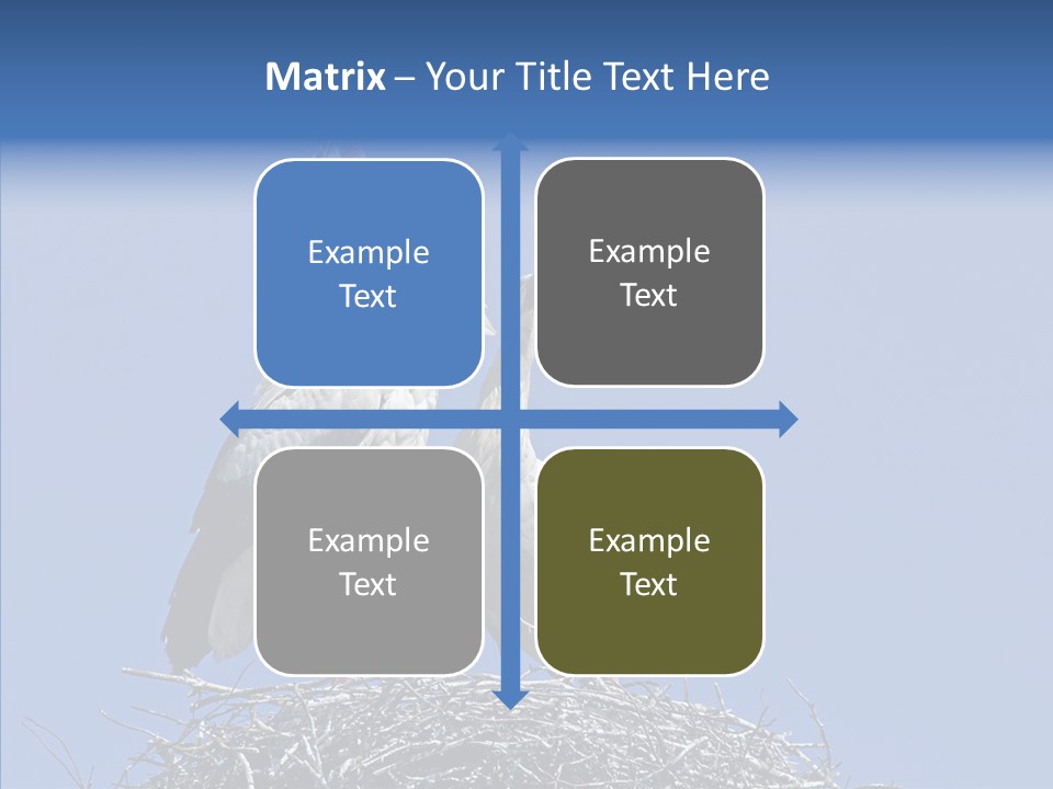 Life Bird Heterosexual PowerPoint Template
