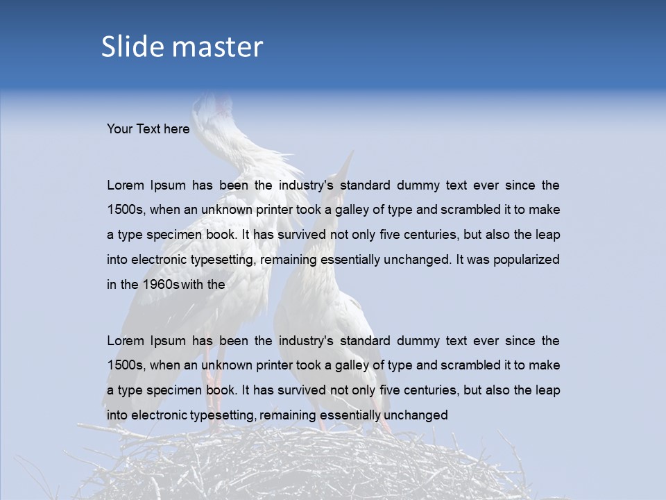 Life Bird Heterosexual PowerPoint Template