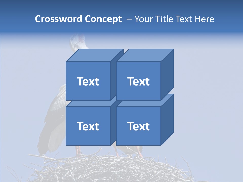 Life Bird Heterosexual PowerPoint Template