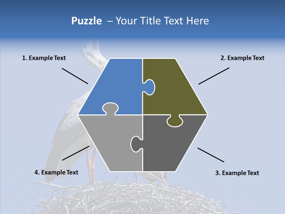 Life Bird Heterosexual PowerPoint Template