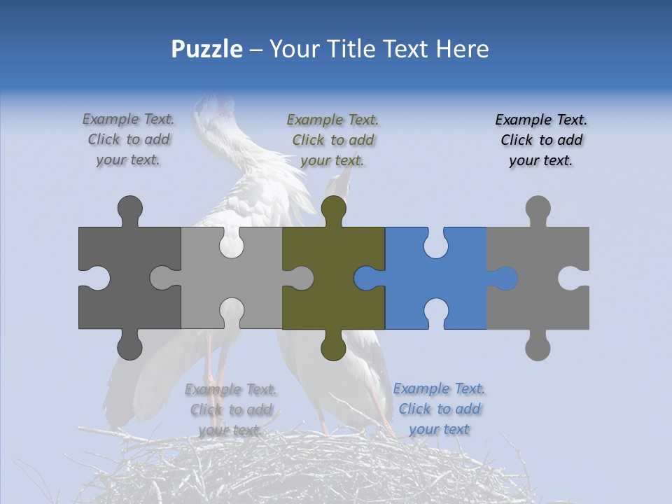 Life Bird Heterosexual PowerPoint Template