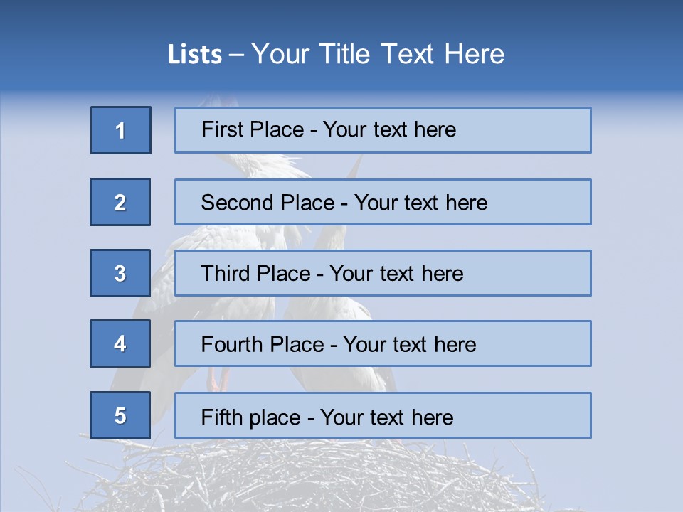 Life Bird Heterosexual PowerPoint Template