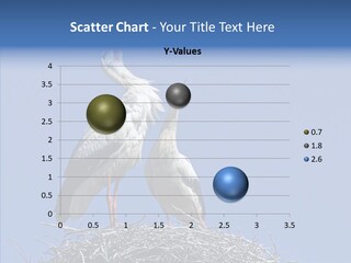 Life Bird Heterosexual PowerPoint Template