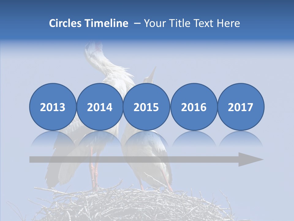 Life Bird Heterosexual PowerPoint Template