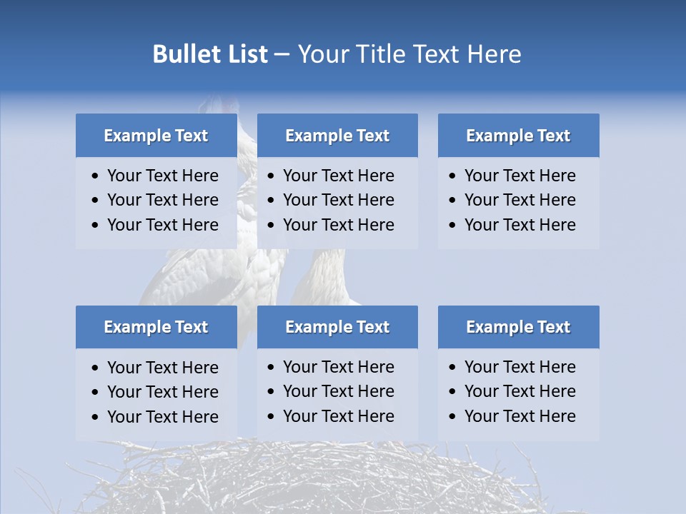 Life Bird Heterosexual PowerPoint Template