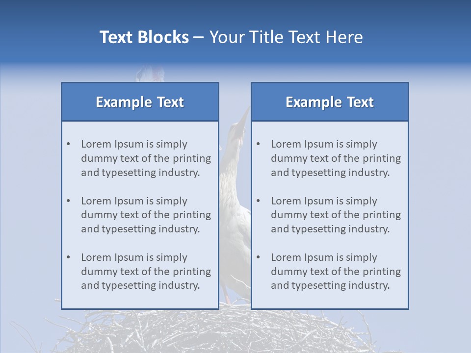 Life Bird Heterosexual PowerPoint Template