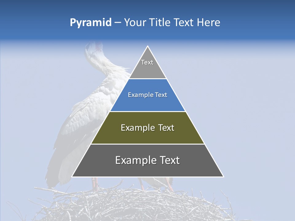 Life Bird Heterosexual PowerPoint Template