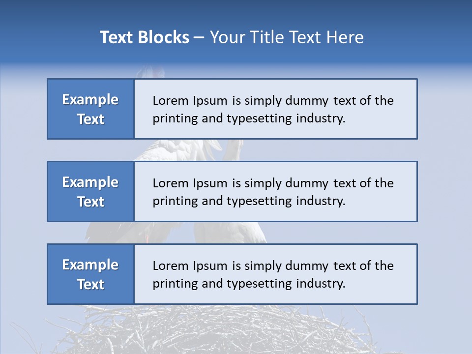 Life Bird Heterosexual PowerPoint Template