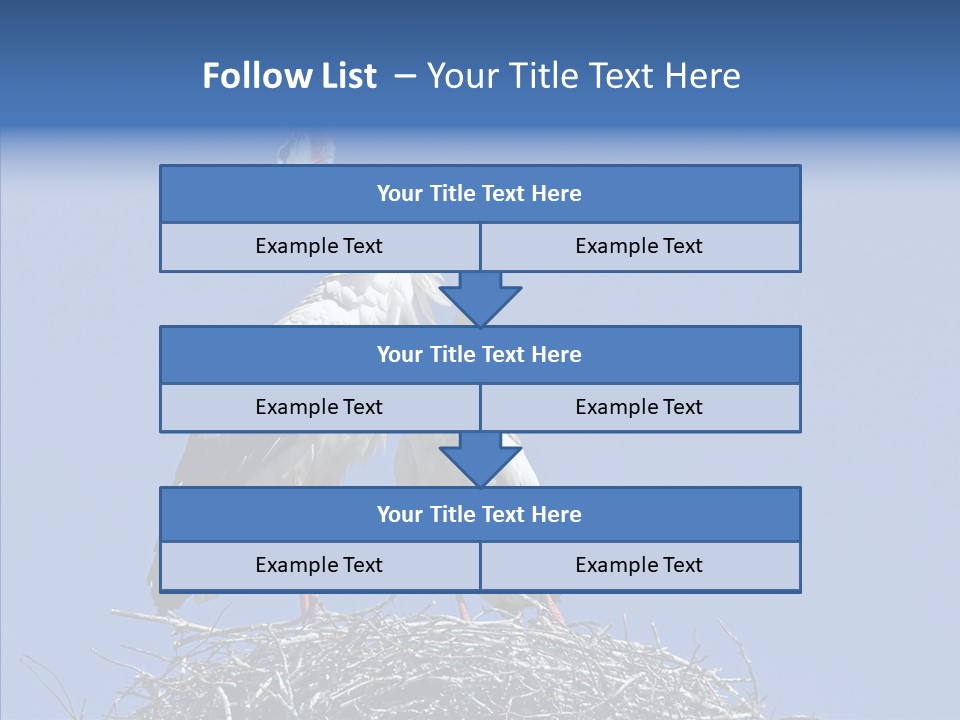 Life Bird Heterosexual PowerPoint Template
