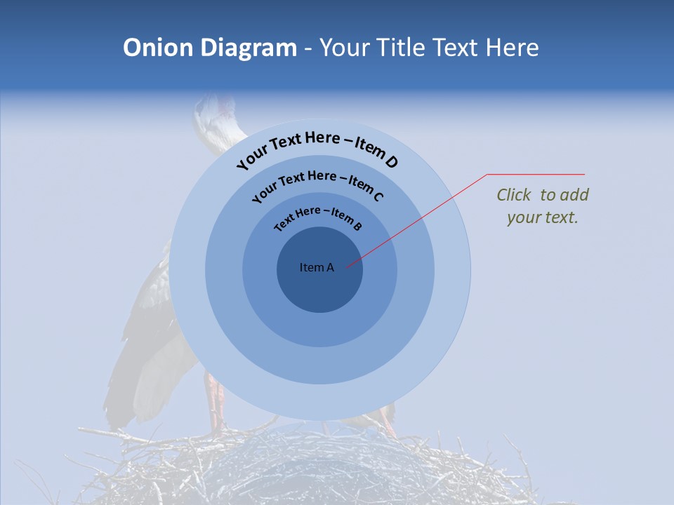 Life Bird Heterosexual PowerPoint Template