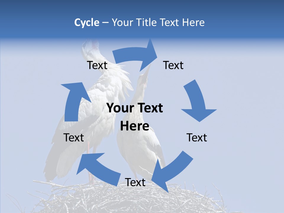 Life Bird Heterosexual PowerPoint Template