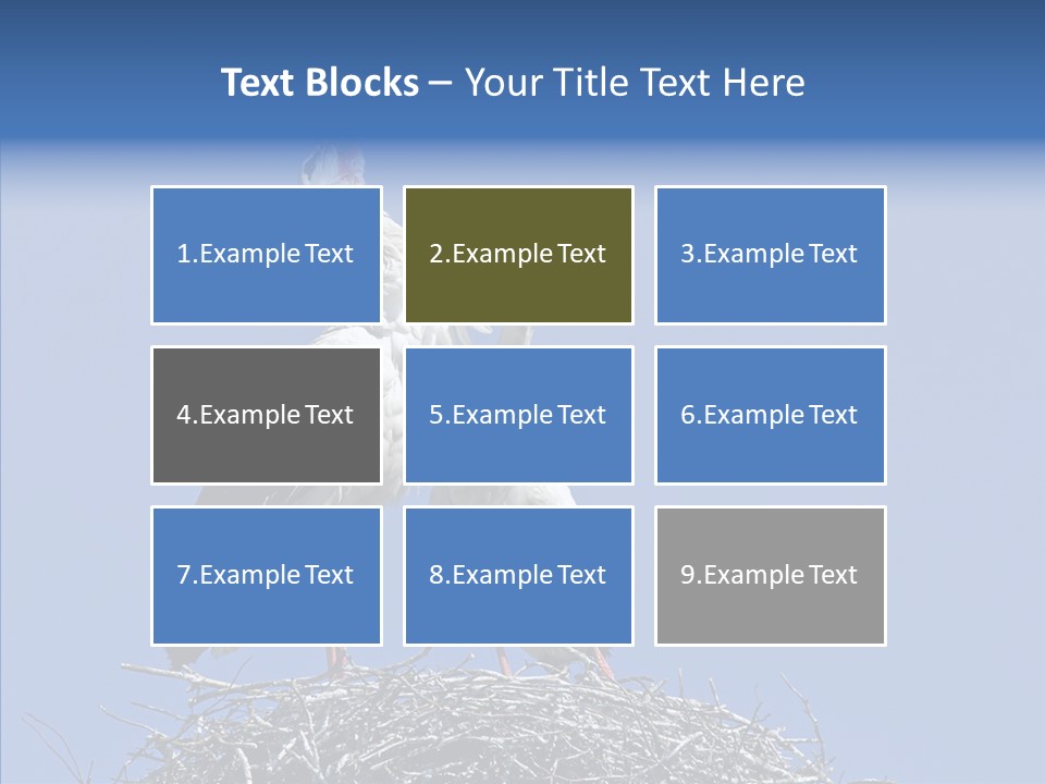 Life Bird Heterosexual PowerPoint Template