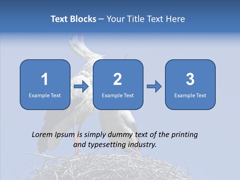Life Bird Heterosexual PowerPoint Template