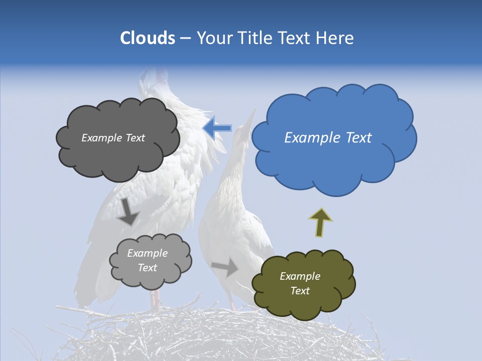 Life Bird Heterosexual PowerPoint Template