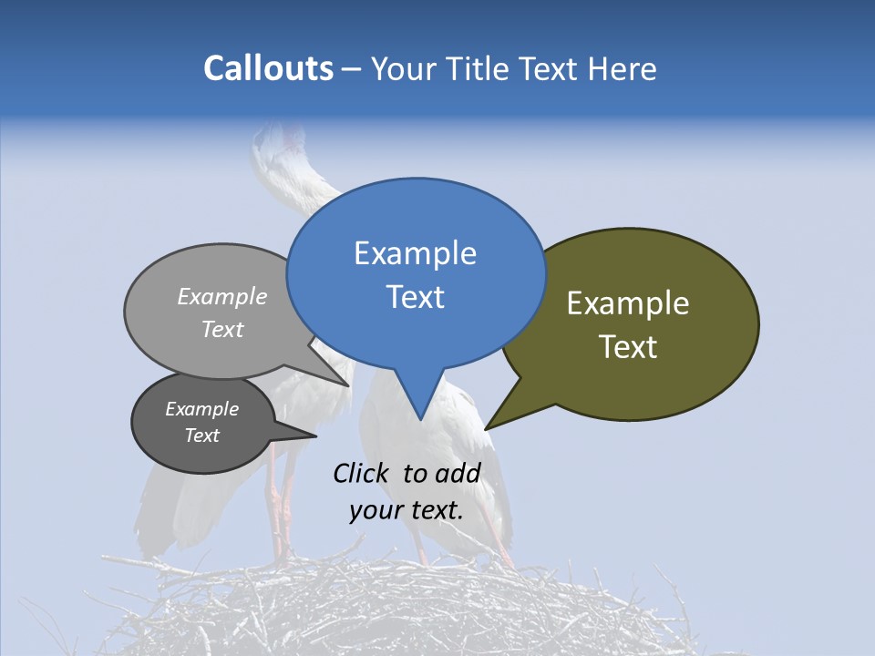Life Bird Heterosexual PowerPoint Template