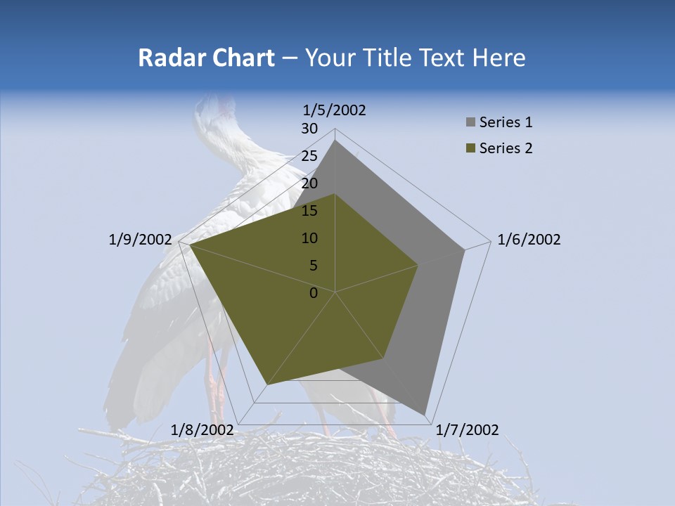 Life Bird Heterosexual PowerPoint Template